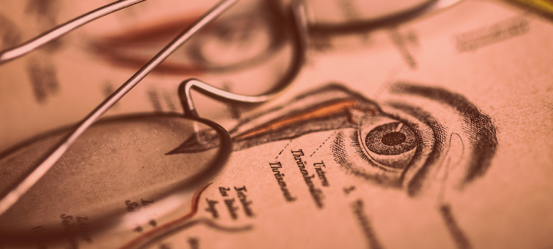 COE_Campus_Kursübersicht_Optometrie(800 x 360 px)