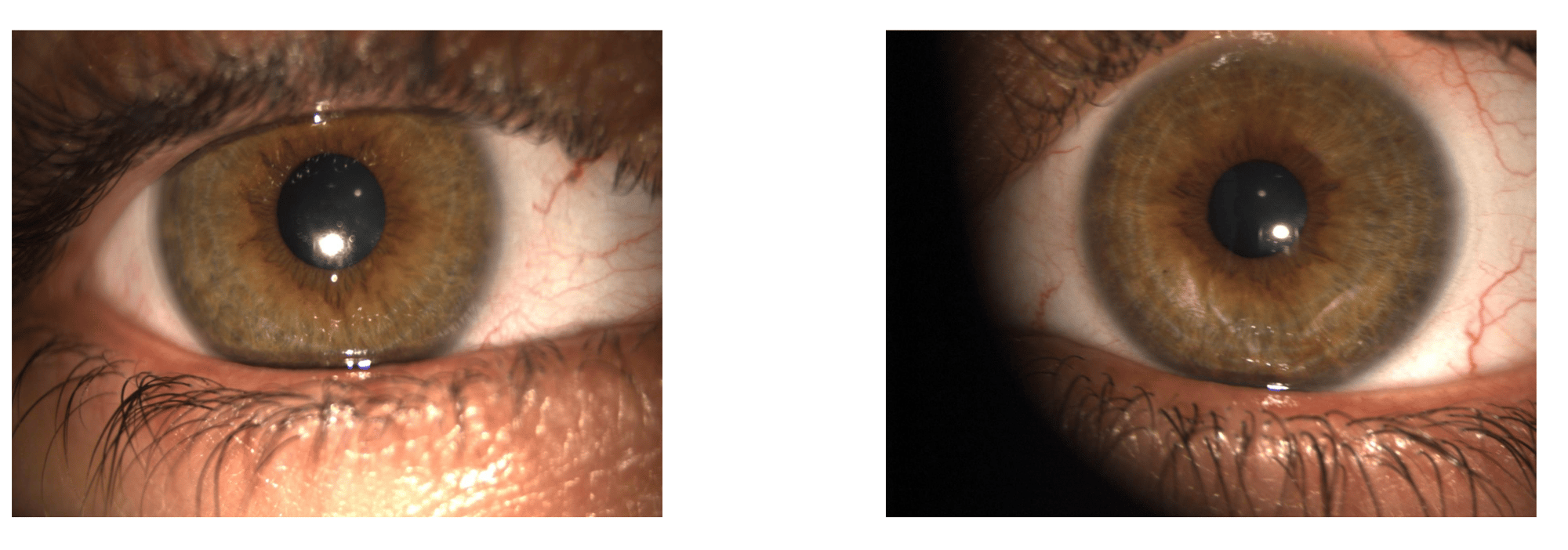 Figure 1 Figure 1