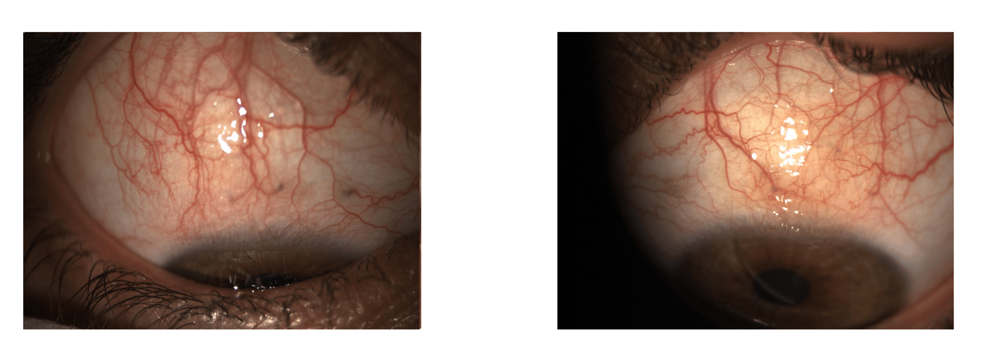 Figure 2 Figure 2